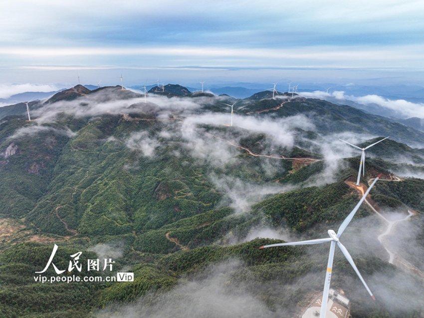 杨幂回应离开嘉行的原因:没有谁对谁错,上过班的都懂